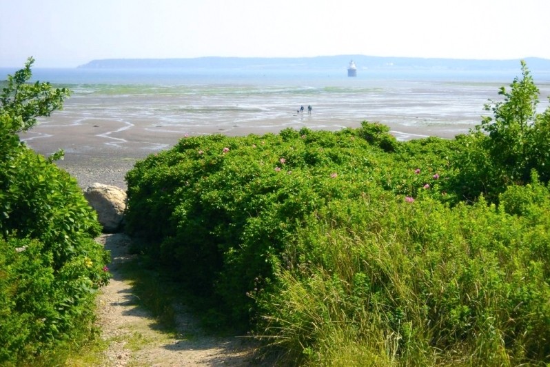 Path leading to Mowry Beach (Credit: Downeast Coastal Conservancy)