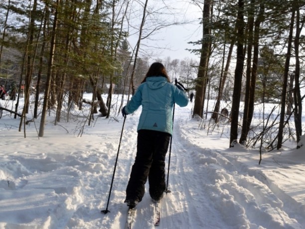 Skiing the Trails (Credit: Stephen Engle)