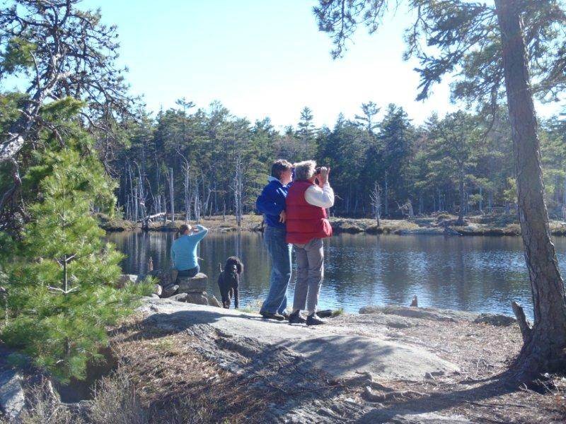 are dogs allowed at reid state park maine