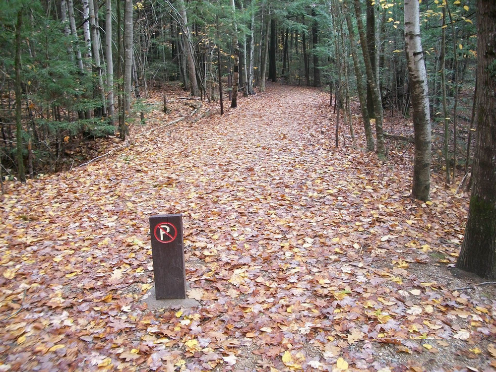 Access to the Group Picnic Area (Credit: Maine Bureau of Parks and Lands)