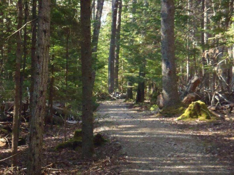 are dogs allowed at reid state park maine