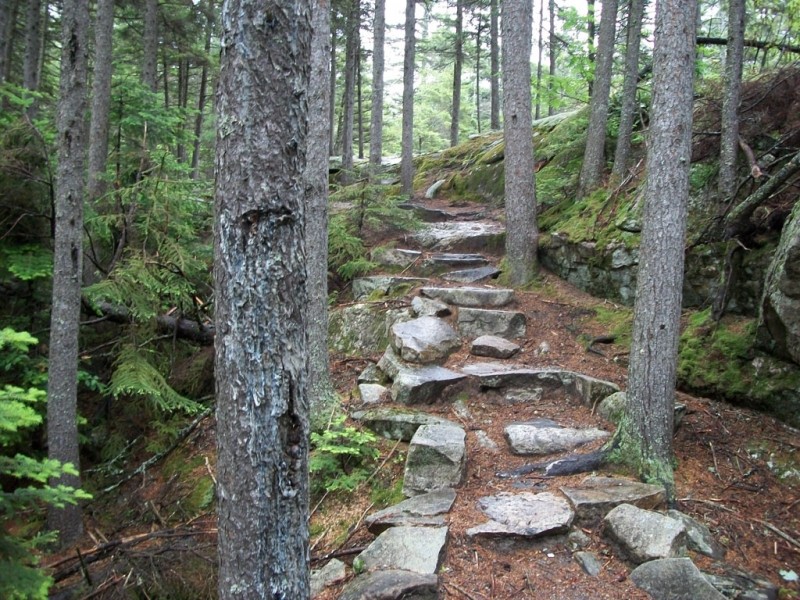 Moose Cave Trail (Credit: Maine Bureau of Parks and Lands)