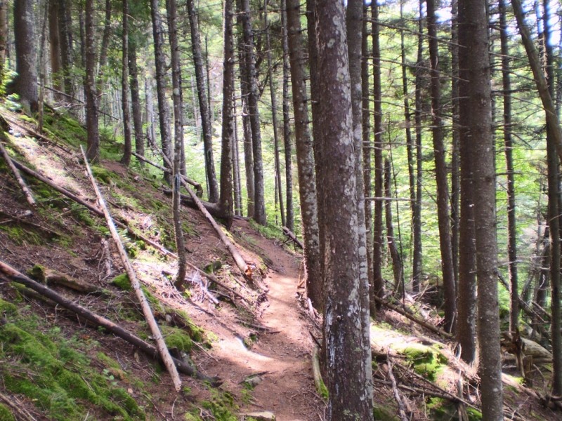 Notch Trail on hillside (Credit: Maine Bureau of Parks and Lands)