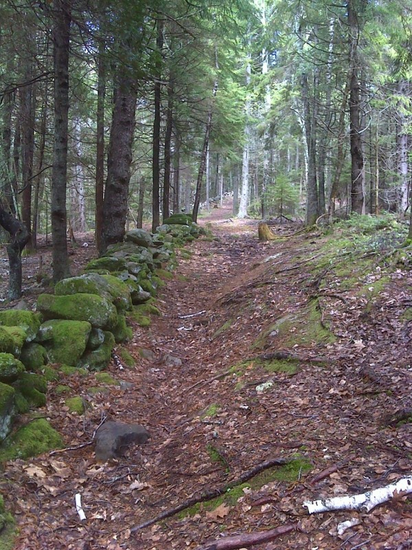 Perkins Farm Trail (Credit: Maine Bureau of Parks and Lands)