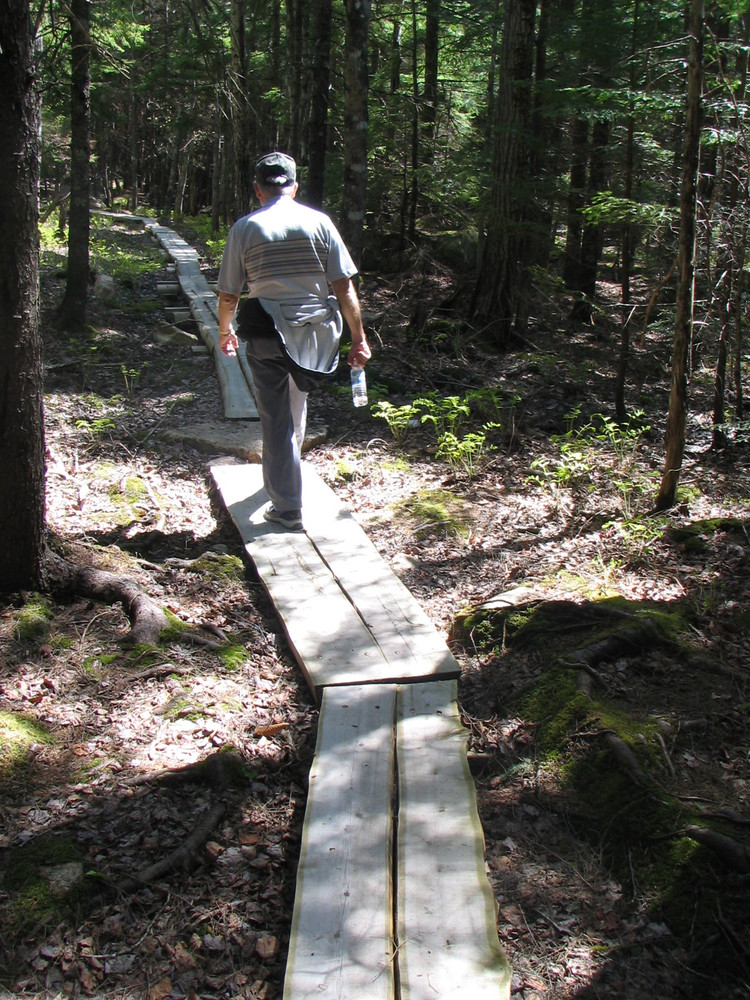 Planks on the Jordan Pond Carry Trail (Credit: National Park Service)