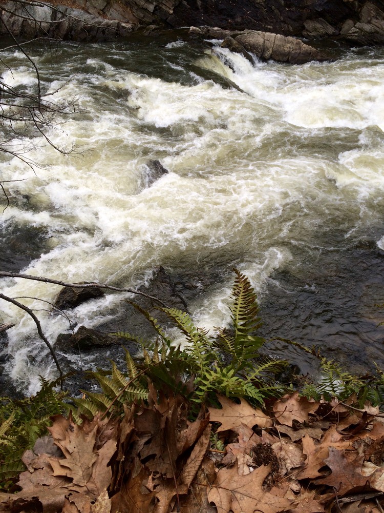 Presumpscot River Preserve and Oat Nuts Park Maine Trail Finder