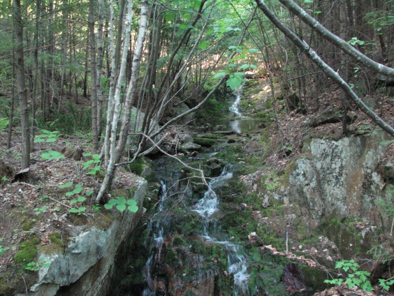 Stream along the Green Connector Trail (Credit: Center for Community GIS)
