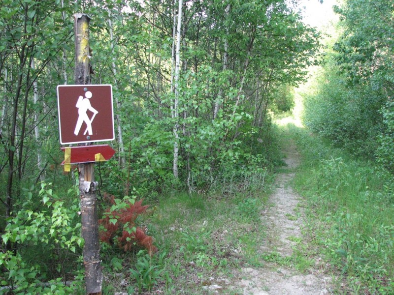 Trailhead for the Yellow Trail (Credit: Center for Community GIS)