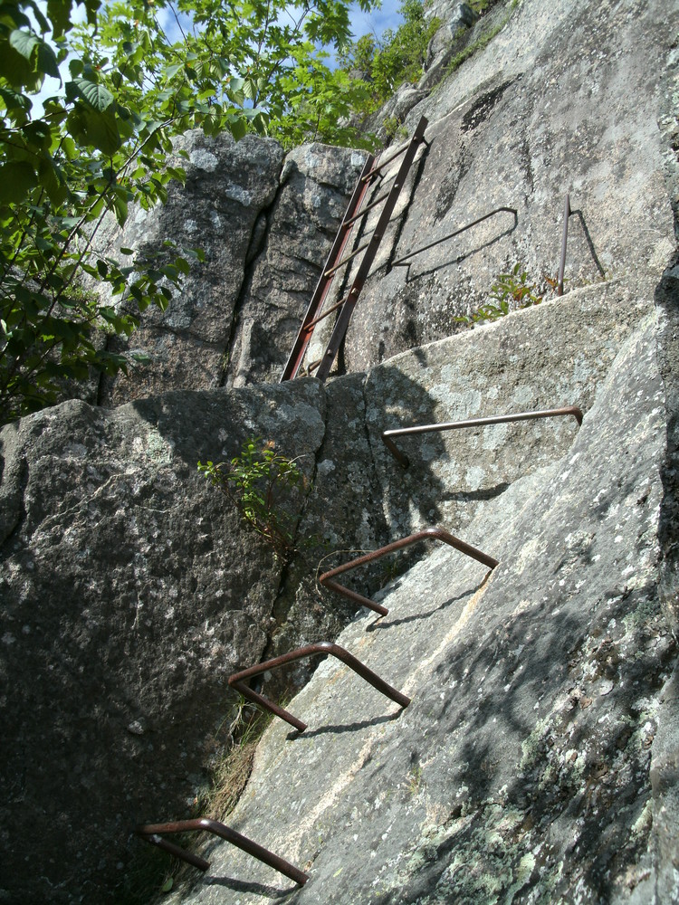 Rungs and ladder (Credit: National Park Service)