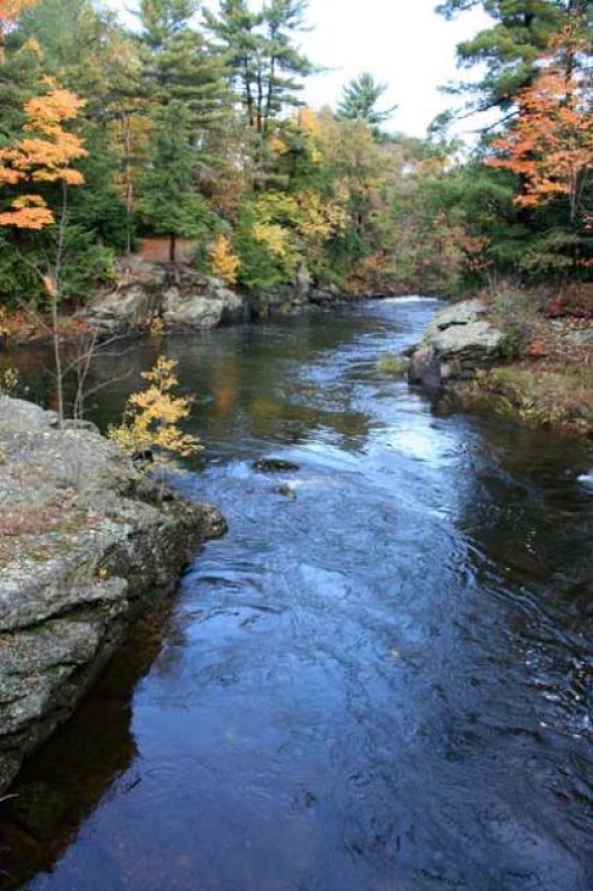 Salmon Falls Reserve Maine Trail Finder