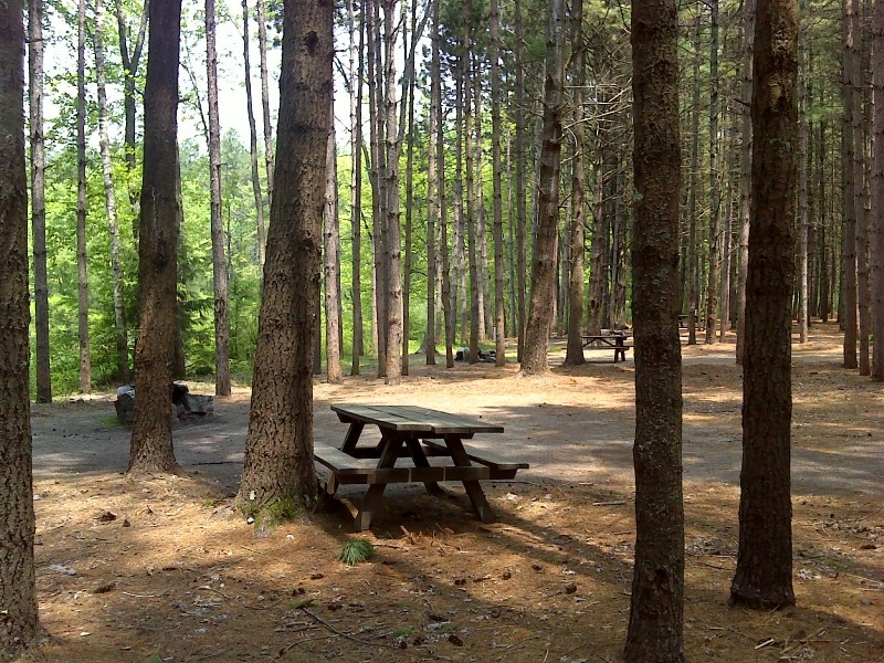Campsites (Credit: Maine Bureau of Parks and Lands)