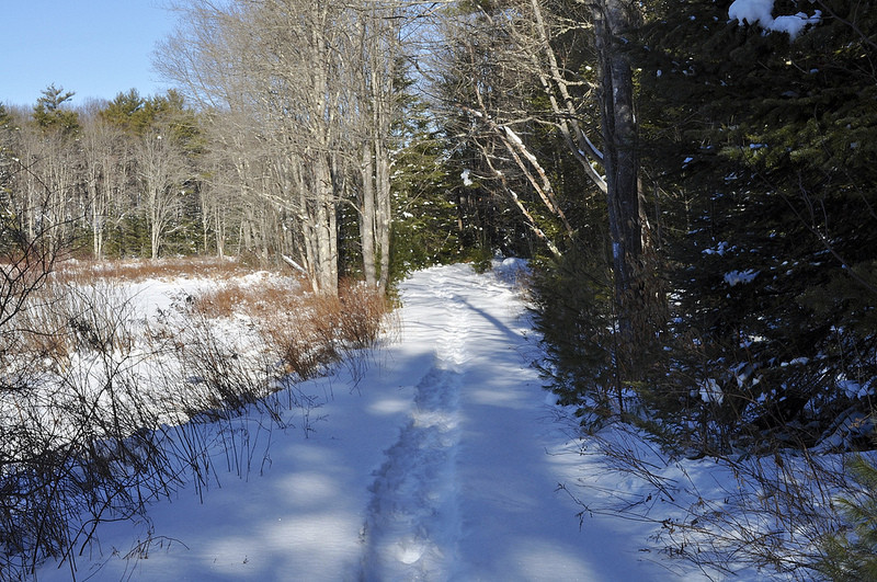 Trails of packed snow in the winter (Credit: Saco Bay Trails)
