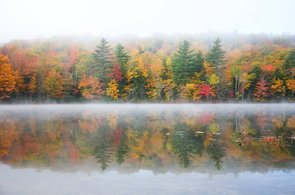Mist on South Pond (Credit: Carl Costanzi)