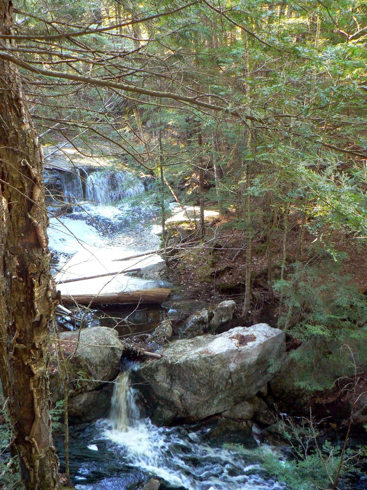 Sprague Pond Trail Maine Trail Finder