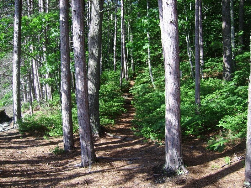 Long Reach Preserve Maine Trail Finder