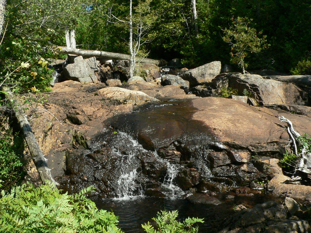 Stream into Lower Hadlock Pond (Credit: National Park Service)