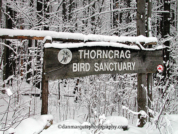 Welcome sign in winter (Credit: Dan Maquis Photography)