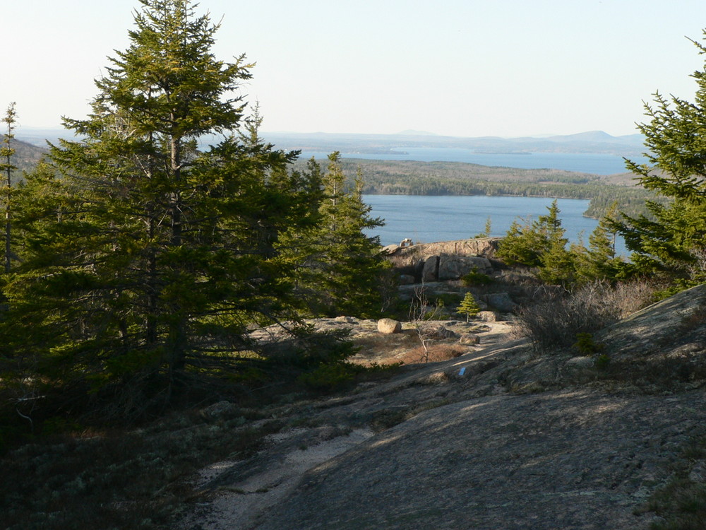 Section of trail (Credit: National Park Service)