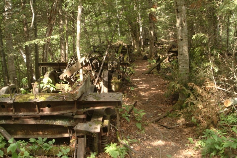 A section of short spur trail near the locomotives (Credit: Maine Bureau of Parks and Lands)