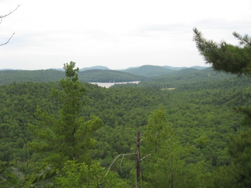 Twitchell Pond from Peaked Bluff (Credit: Landon Fake)