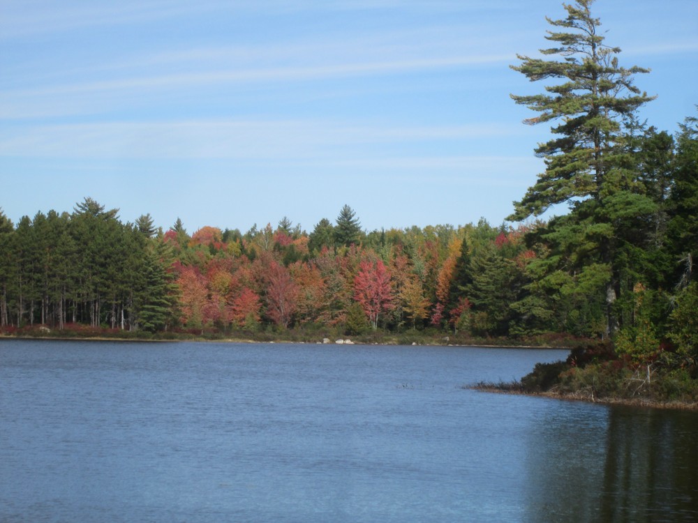 North end of Wabassus Lake, Fall colors (Credit: Roger Brown)