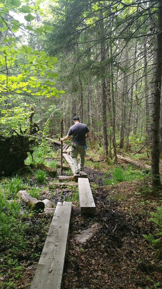Log walkway sample (Credit: jralbert21)