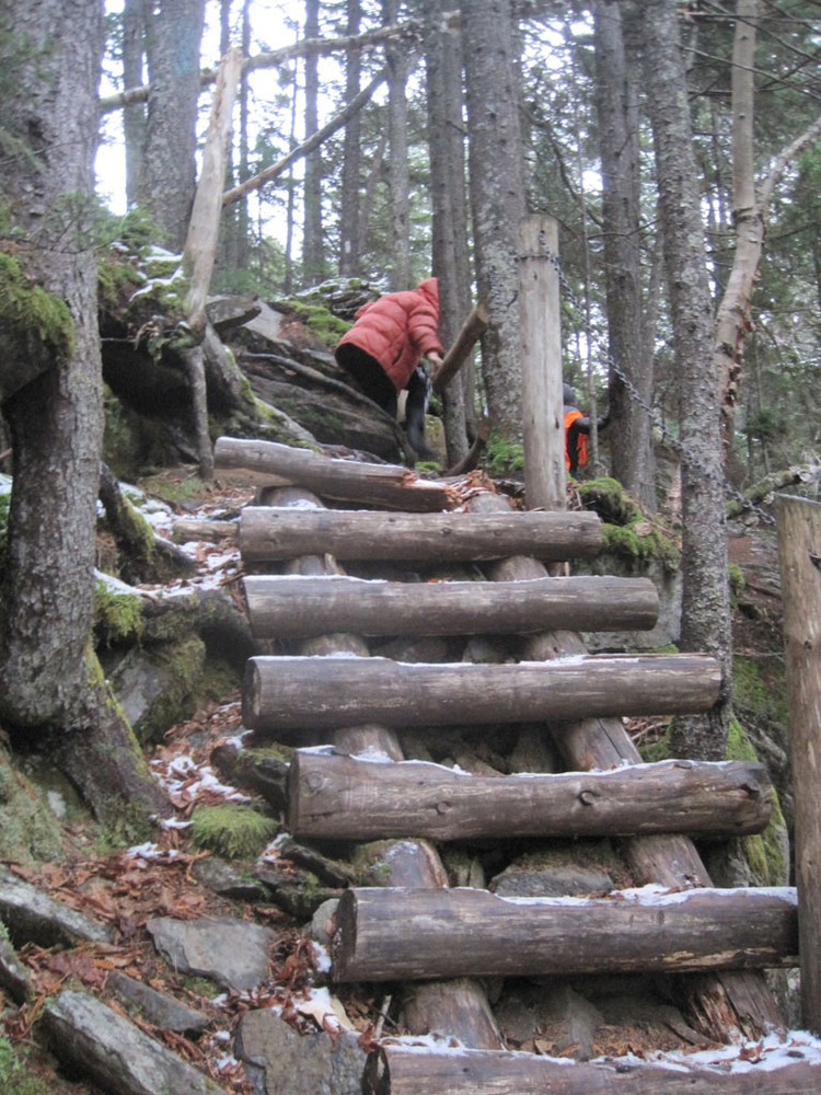 Steep Wooden Stairs into the Gorge (Credit: Nate Morse)