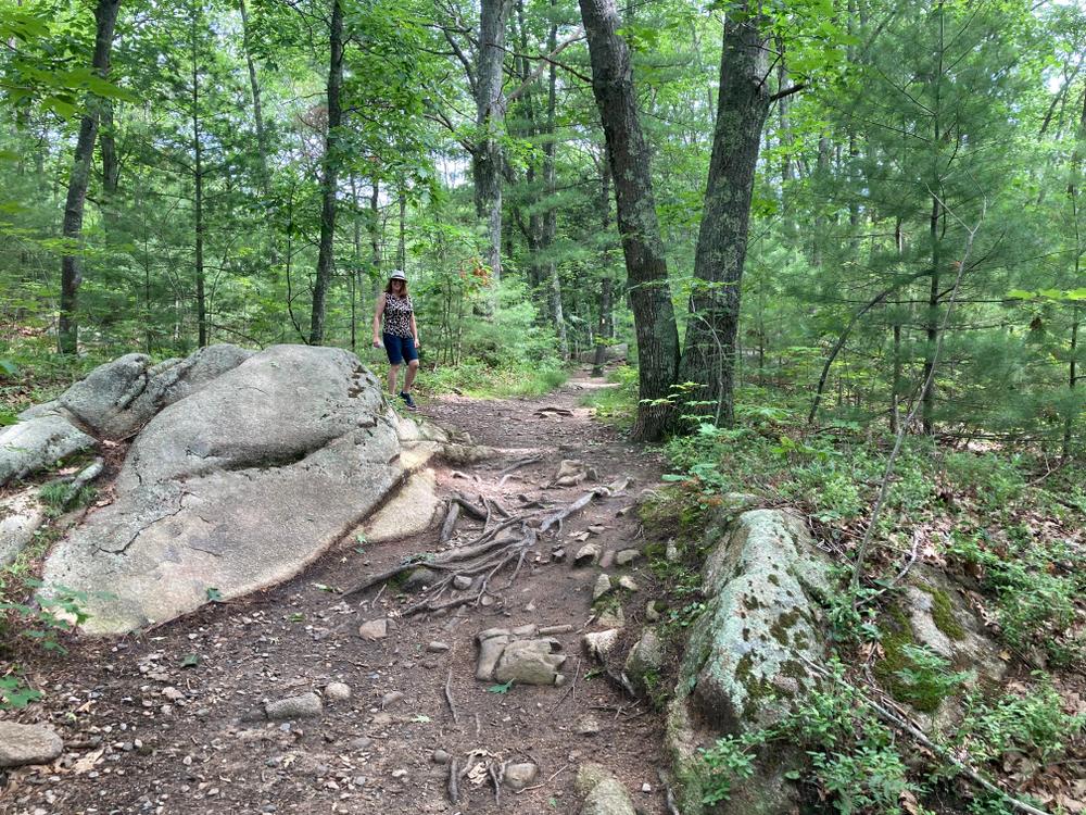 Edwin L. Smith Preserve - Maine Trail Finder