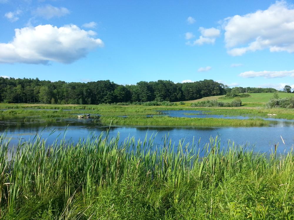 Great Salt Bay Farm Maine Trail Finder