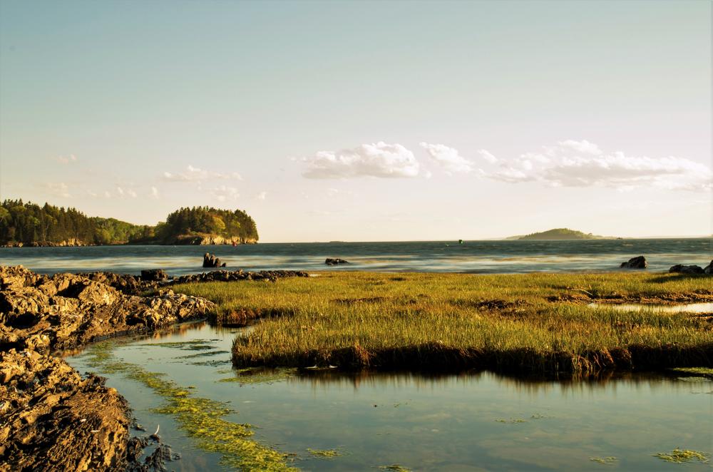 Potts Point Preserve Maine Trail Finder
