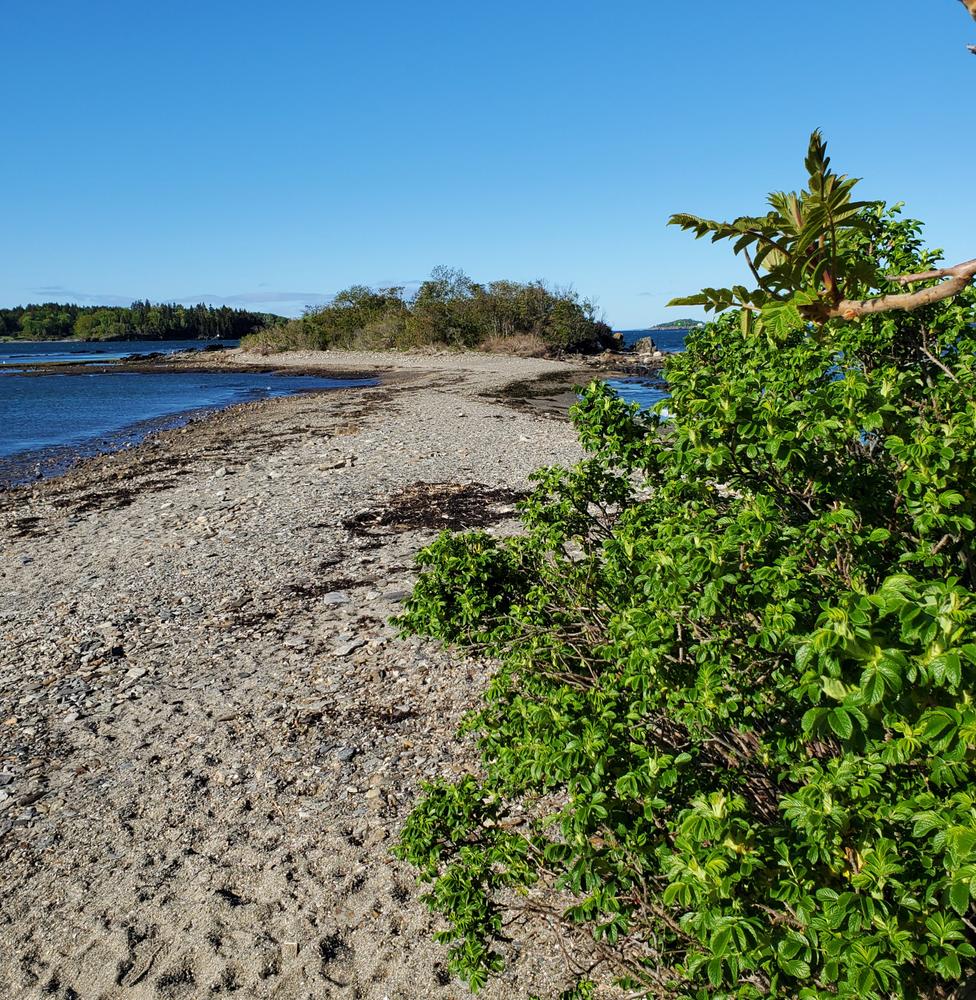 Potts Point Preserve Maine Trail Finder