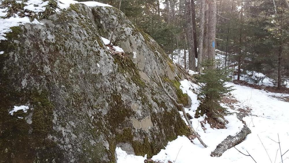 CrossCushing Nature Preserve Maine Trail Finder