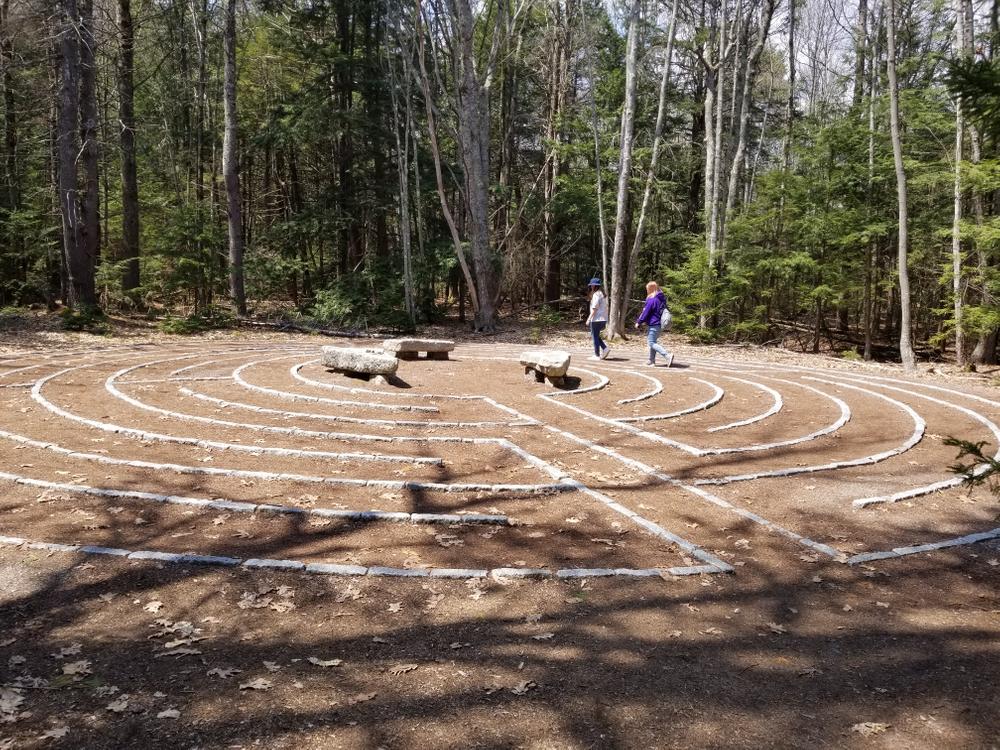 Labyrinth (Credit: Amanda Holden)