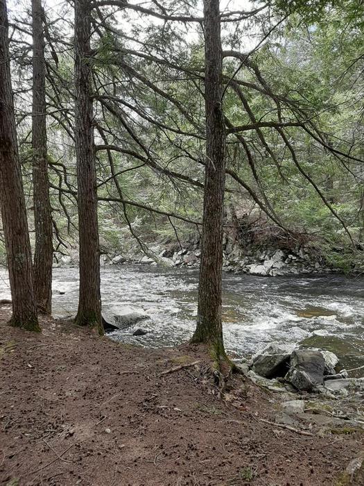 Whitefield Salmon Preserve Maine Trail Finder