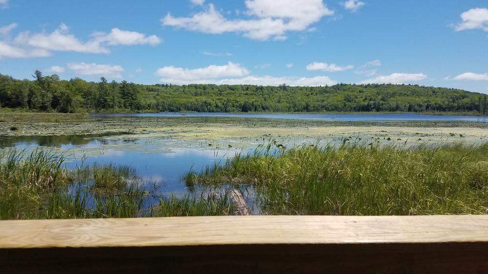 Torsey Pond Nature Preserve and Echo Lake Watershed Preserve