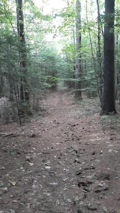 Philbrick Trail