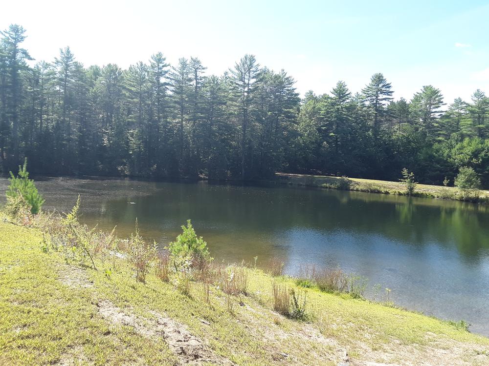 Beaver Park Maine Trail Finder