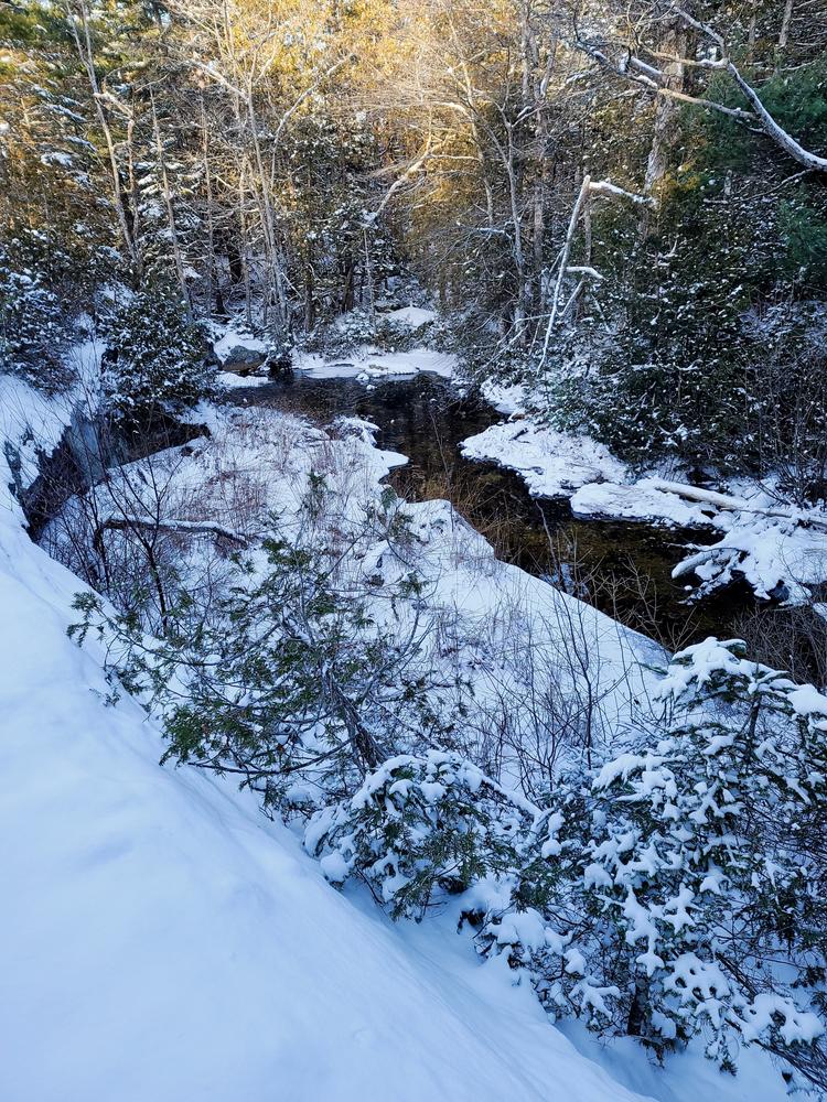 Amherst Mountains Community Forest Ducktail and Partridge Pond Trails