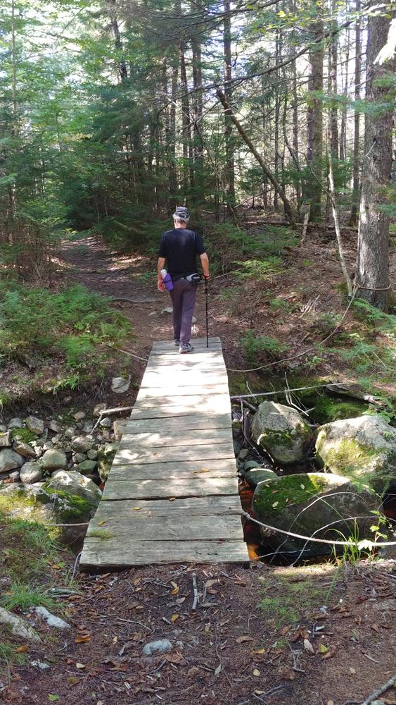 Machias River Preserve Maine Trail Finder