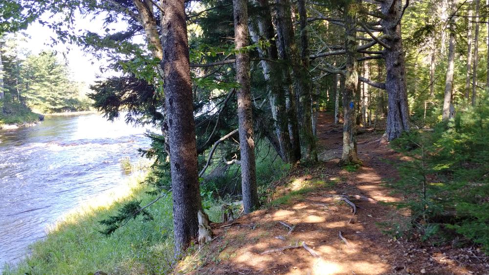 Machias River Preserve Maine Trail Finder