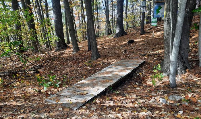 Boardwalk at the entrance to the trail. (Credit: Enock Glidden)
