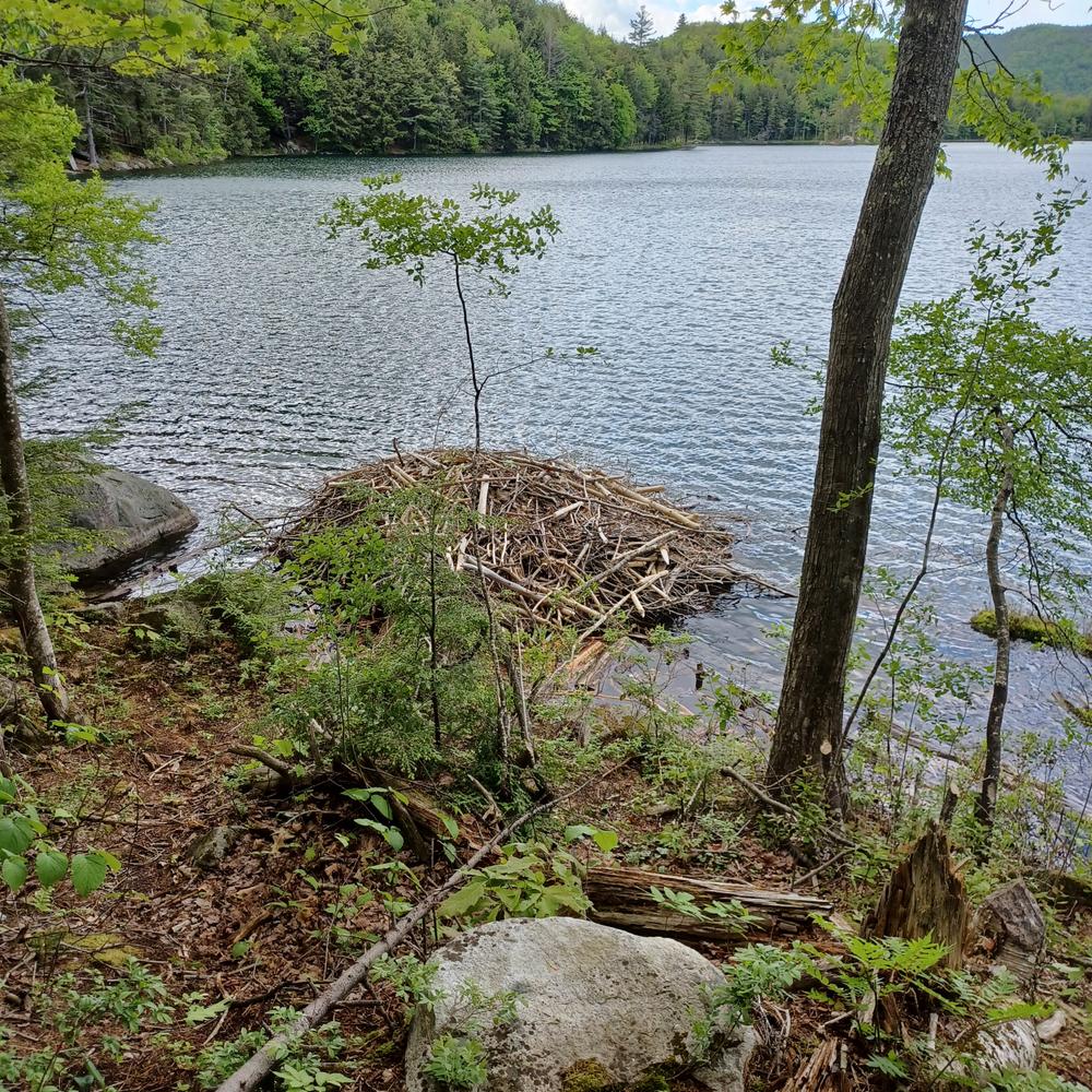 Little Concord Pond State Park Maine Trail Finder