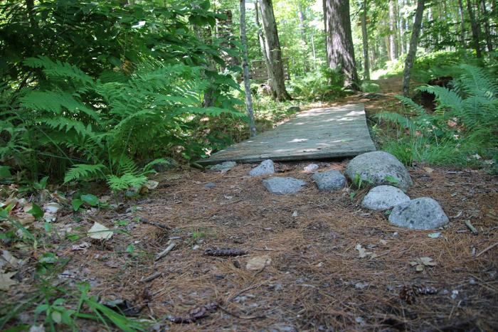 Entrance to another bridge on the Willet Brook Trail (Credit: Enock Glidden)