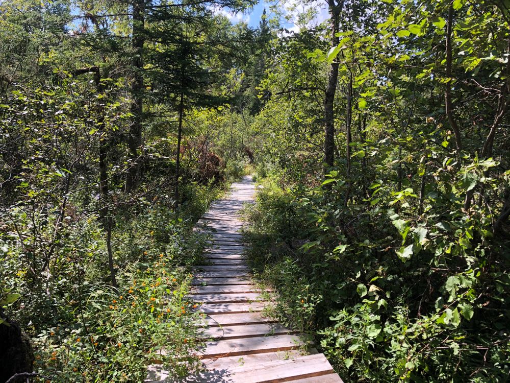 Hatchery Brook Preserve trail