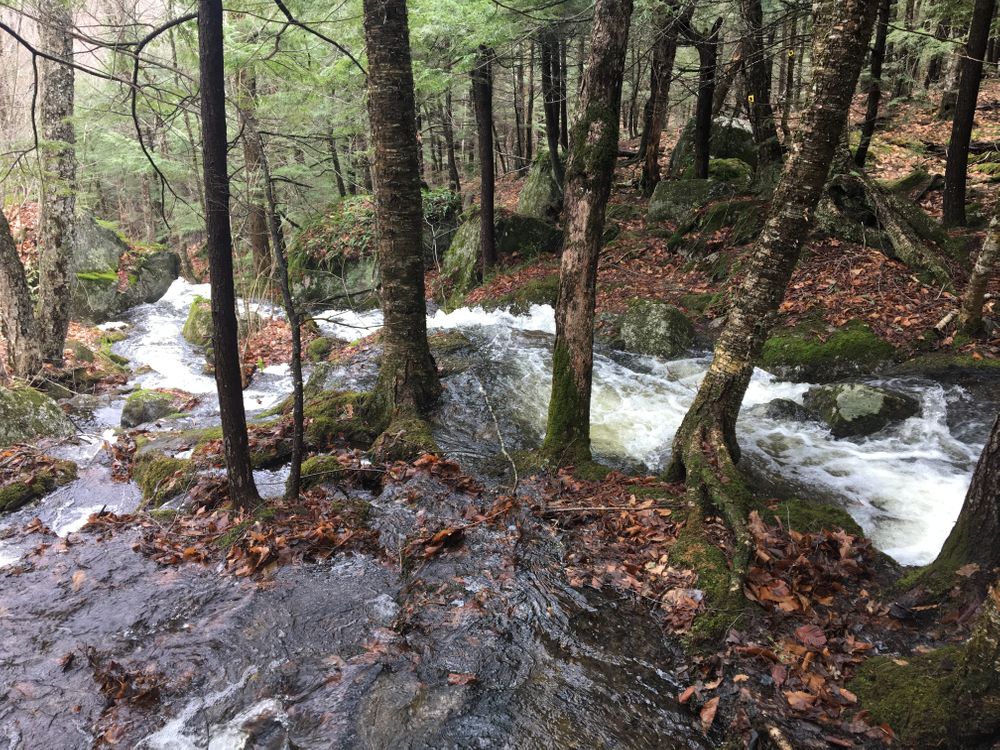 Cascade Trail - After Spring Rain (Credit: Ben Poulin)