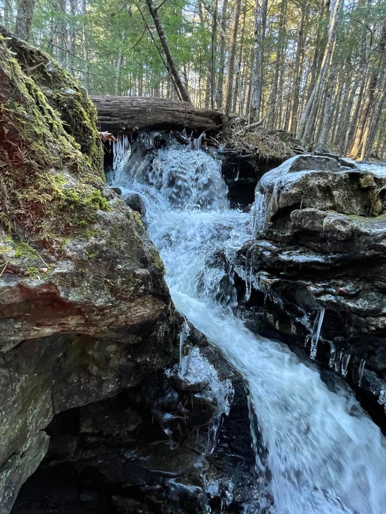 Jagolinzer Preserve - Maine Trail Finder