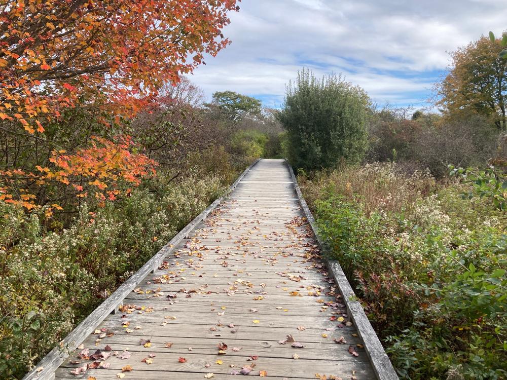 Crescent Beach and Kettle Cove State Parks Maine Trail Finder