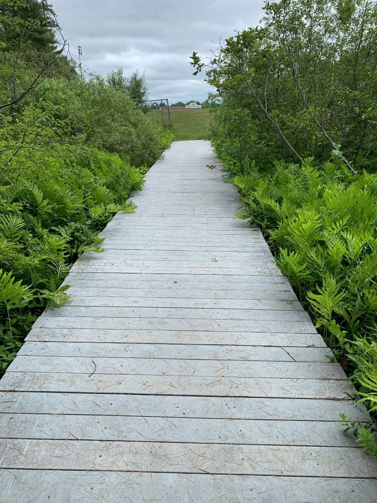 Rampe Conservation Easement & Orono High School Trails Maine Trail Finder