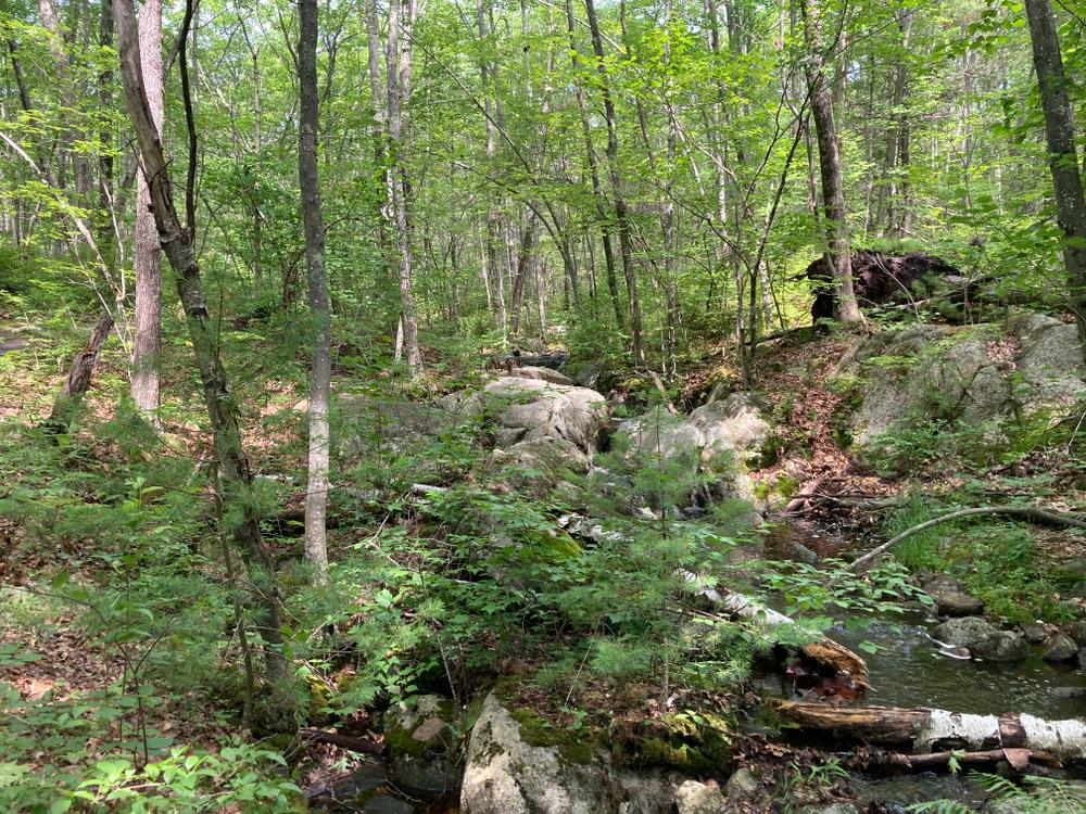 Edwin L. Smith Preserve - Maine Trail Finder