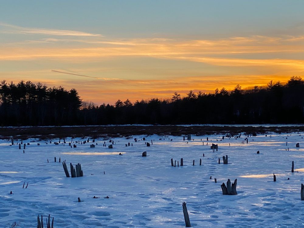 Knight’s Pond Winter Sunset (Credit: Beth Hamilton)